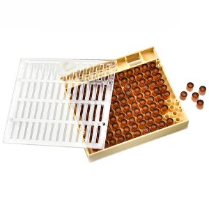 Bee Queen Rearing Box for Beekeeping - Pack of 5